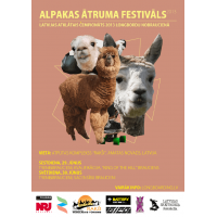 Alpaca Speed Festival 2013